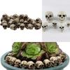 1/20pcs Mini Skulls Halloween Garden Decoration Bonsai Courtyard Ornament Small Skeleton Head Flowerpot Decor Realistic Crafts