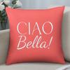2D-Flat decorative cushion covers with striped design and various Italian quotes for sofa and chair.