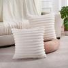 Modern Home Decorative Sofa Cushion Case Washable Throw Pillow Cover