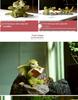 Adorable Cartoon Dragon Resin Ornament - Dinosaur Figure Gift for Friends & Teachers