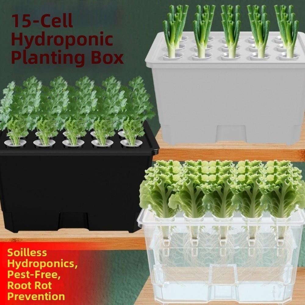 Thicken Hydroponic Box Plastic Planting Container Practical Germination Tray  Indoor Gardening