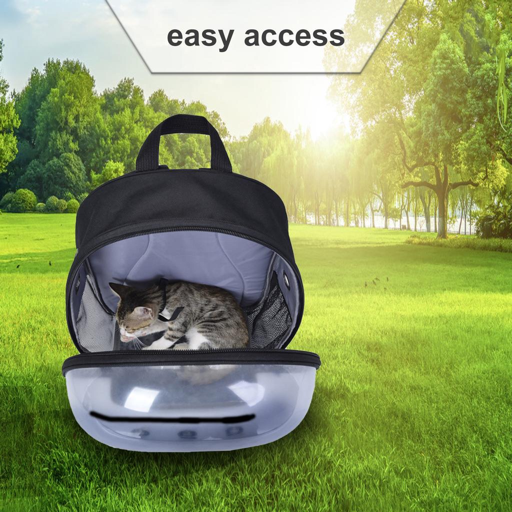 easy access cat carrier