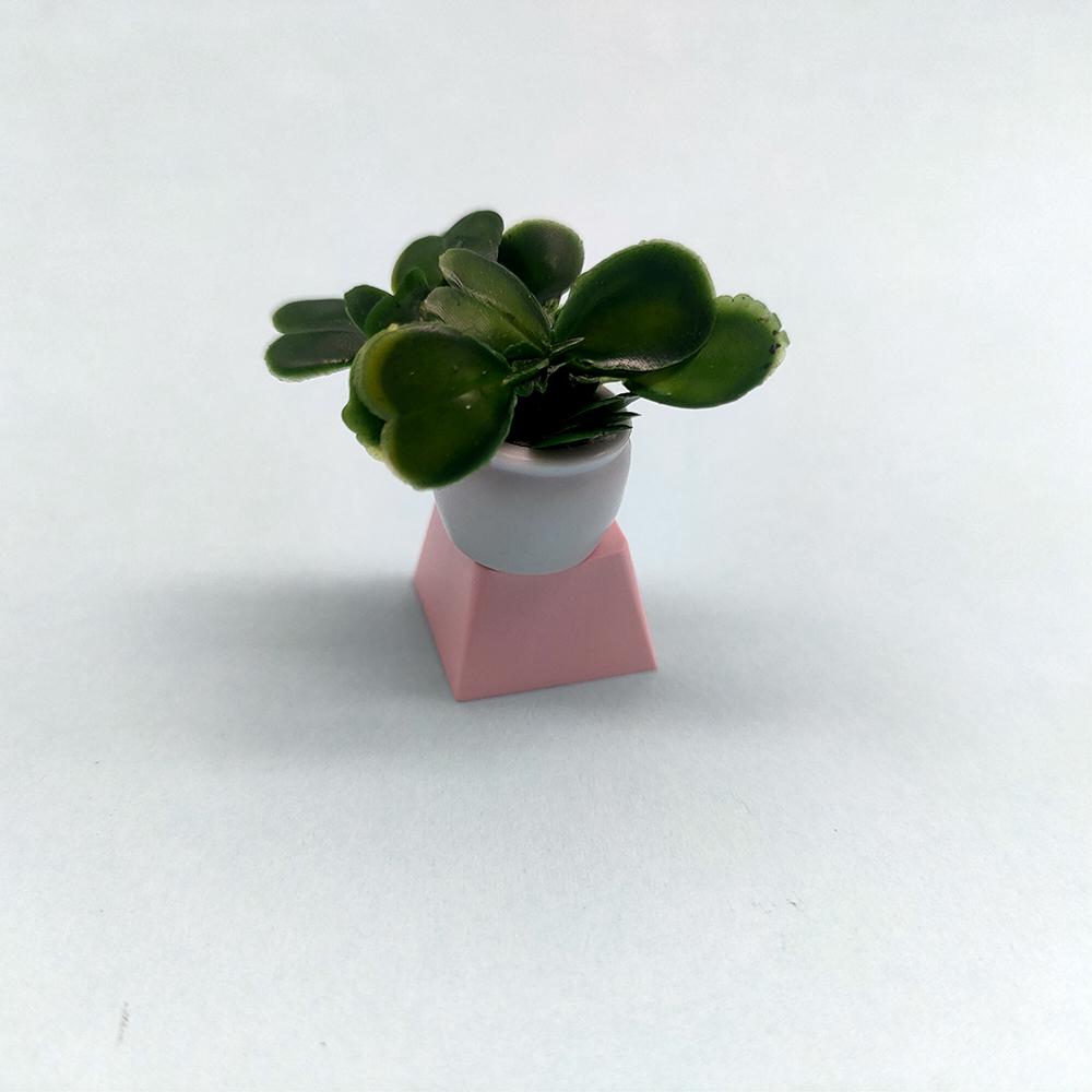 Klíčenky Cherry Profil PBT Klíčenka Anime Kawaii DIY Mechanická Klávesnice Krytky Herní Dekorace Předmět Příslušenství Roztomilý Klíč