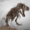 Imaginary Skeleton Tyrannosaurus 1/32 Scale Plastic Model 197694 Brown 25.4x11.43x15.24cm