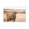 Weizen Kuh Pferd Grünland Landschaft Wand Kunst Poster und Drucke Landschaft Druck Nordic Malerei Dekorative Bild Home Dekoration
