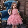 New Baby Girls' Birthday Princess Dress Tutu Dress for Toddler Girls, Kindergarten Dresses