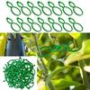 500Pcs Garden Vine Strapping Clips Plant Bundled Buckle Rings Holder Tomato Garden Plant Stand Garden Decors Accessories