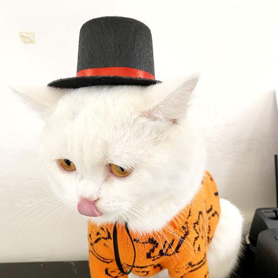 Pet Hat Exquisite Workmanship Wide Application Non Woven Fabric Magician Style Cat Cap for Daily Wear