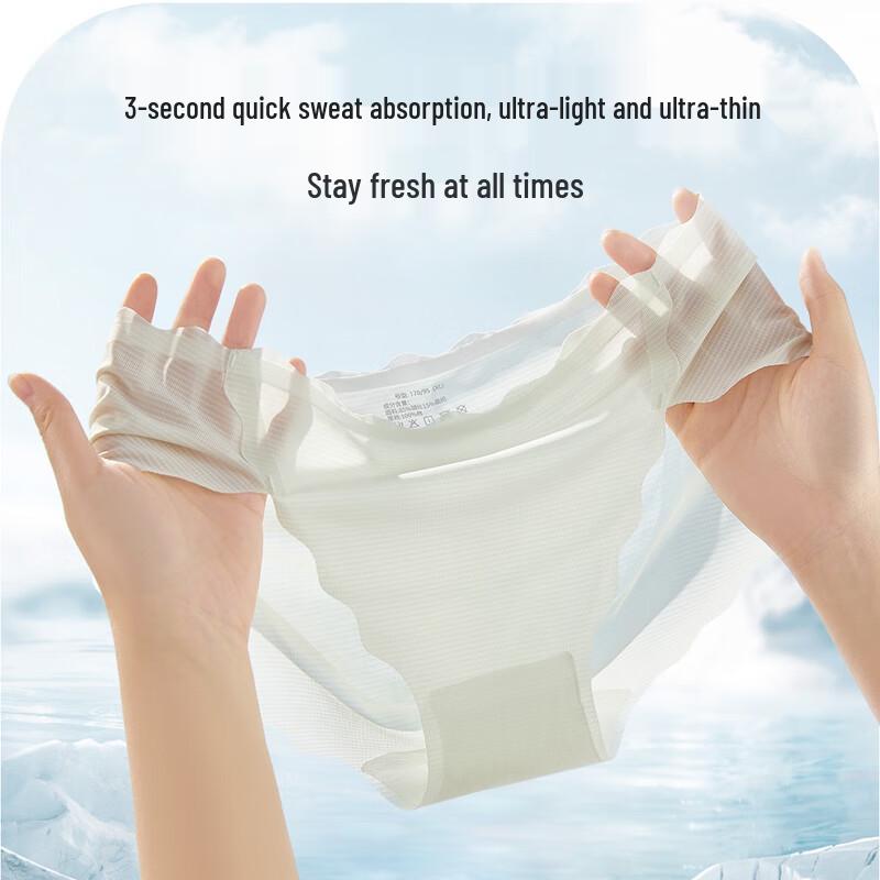 Easy Comfort Women's Ice Silk Seamless Briefs 4-Pack