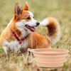 600ML Pet Bowl Convenient Foldable Silicone Dog Bowls Portable Easy To Clean Cat Dog Food Bowl Pet Supply