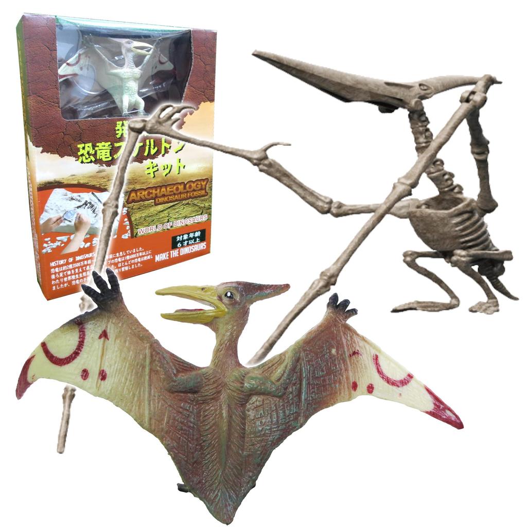 Excavation Kit for Pteranodon Ages Includes Dinosaur Figure and and Magnifying Plaster Fossil Plastic Independent Science Educational Toy Dinosaurs,