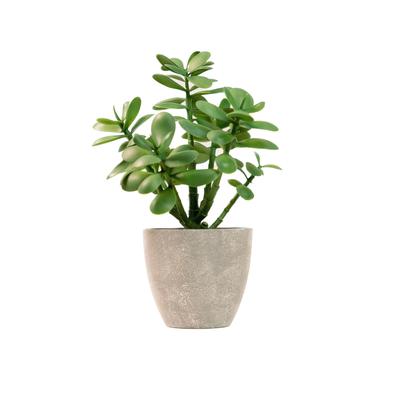 365 Blooming Decor Artificial Jade Plant 31cm Potted Tabletop Greenery Direct from Japan