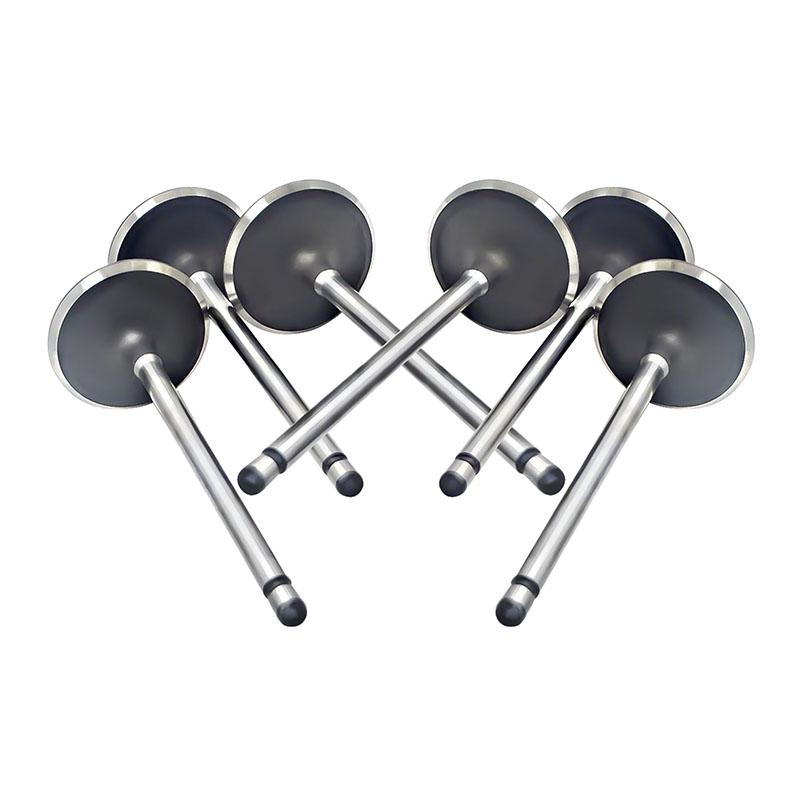 Suitable for Toyota Land Cruiser Prado(2TR 2.7L) 2004-2015 Intake Valve