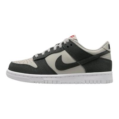 Dunk Low GS Světle železná ruda Antracit Třpytivé Dětské tenisky Šedá Bílá Gym-Red FZ1000-001