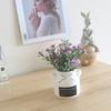 DIY Gifts Ceramic Pot Flowers Bonsai Gypsophila Flowers Fake Potted Plants  for Indoor Outdoor