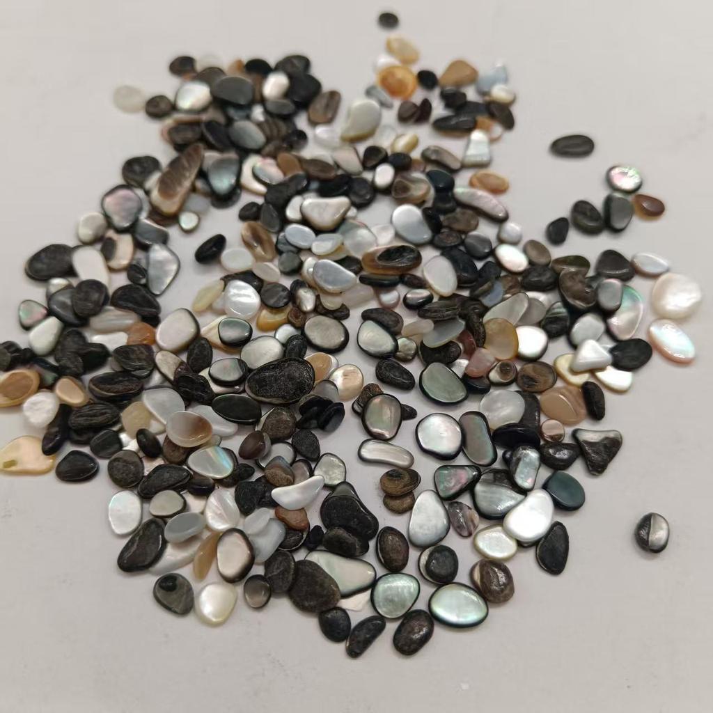 Piedras de Concha de Terrazzo Blanco y Negro de Nácar para Decoración de Acuario y Maceta