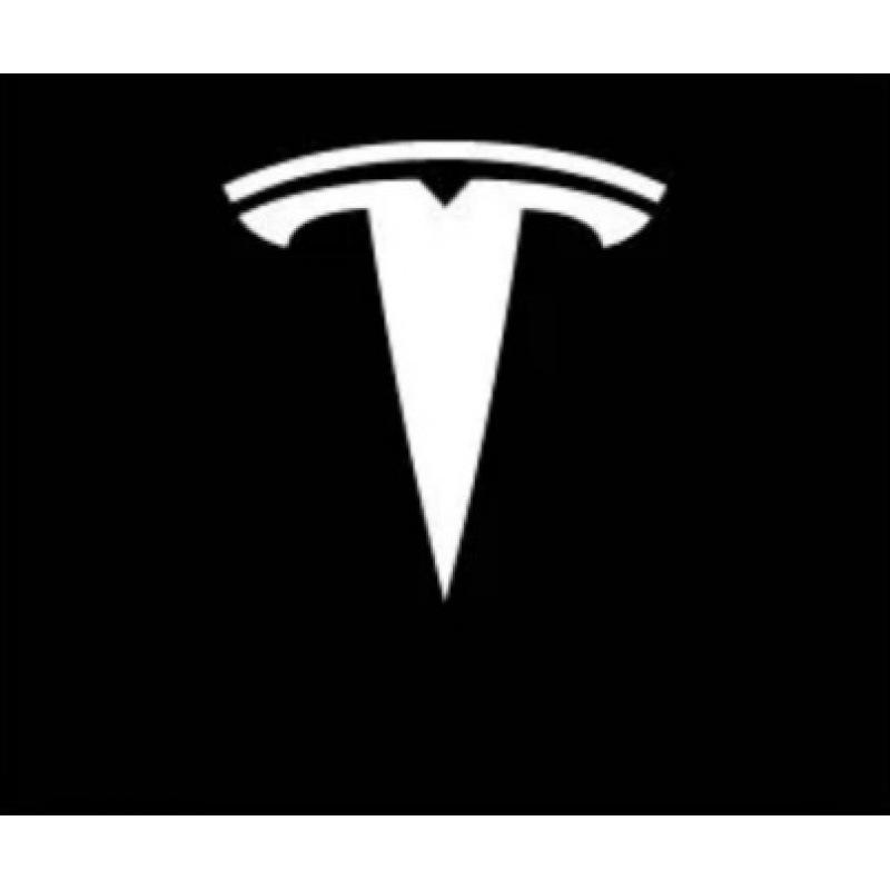Anwendbare Tesla Model S/X/3 Willkommens-Türprojektorleuchte