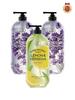 Super Botanical Body Wash 900g X 3 (1 Lemon + 2 Lavender)