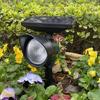 Solar Landscape Spotlights RGB Colorful Gradient Lighting IP4 Waterproof Outdoor Wall Lights for Garden Decor
