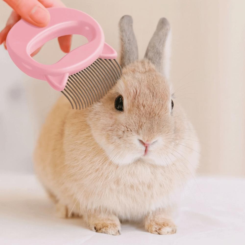 Fine Soft Brush Pet Hair Removal Brush Plastic Handle Deshedding Brush For Long Short Hair
