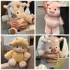Poppen en knuffels – Knuffels - strip- en tekenfilmsfiguren