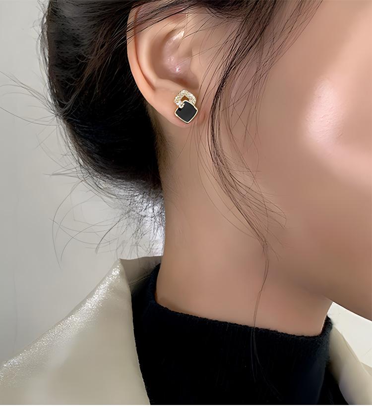 2026 Autumn/Winter Black Earrings