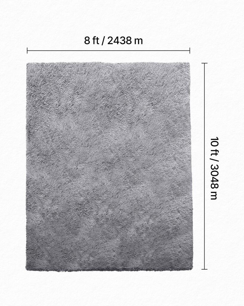 Indoor Plush Area Rugs, 2.44 X 3.05m Soft Plush Carpet, Furry Shag Area Rugs for Living Room, Bedroom, Sunroom, Modern Home Decor Aesthetic,