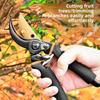Heavy-Duty SK5 Steel Garden Pruning Shears for Fruit Tree Pruners  Home Use