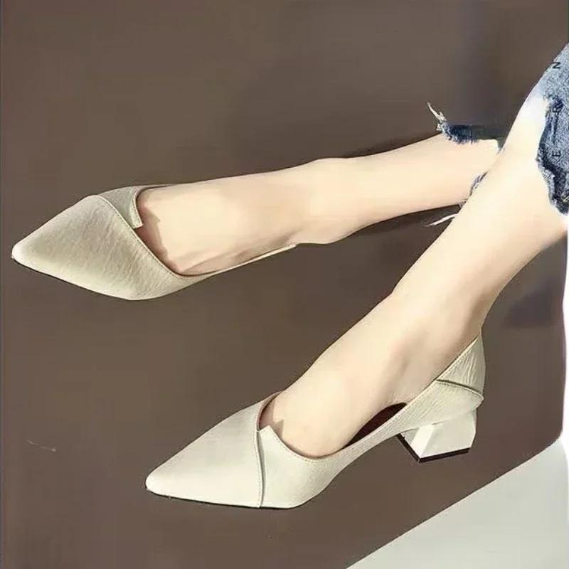 2026 New Pointed Mid Heel Women's Shoes Shallow Mouth Single Shoes Women's Fashion High Heel Women's Shoes