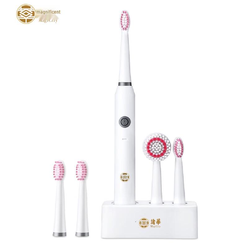 

Magictiy Sonic Electric Toothbrush with 4 Brush Heads