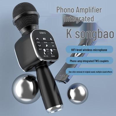 Portable All-in-One Wireless Bluetooth Microphone & Speaker with Voice Changer