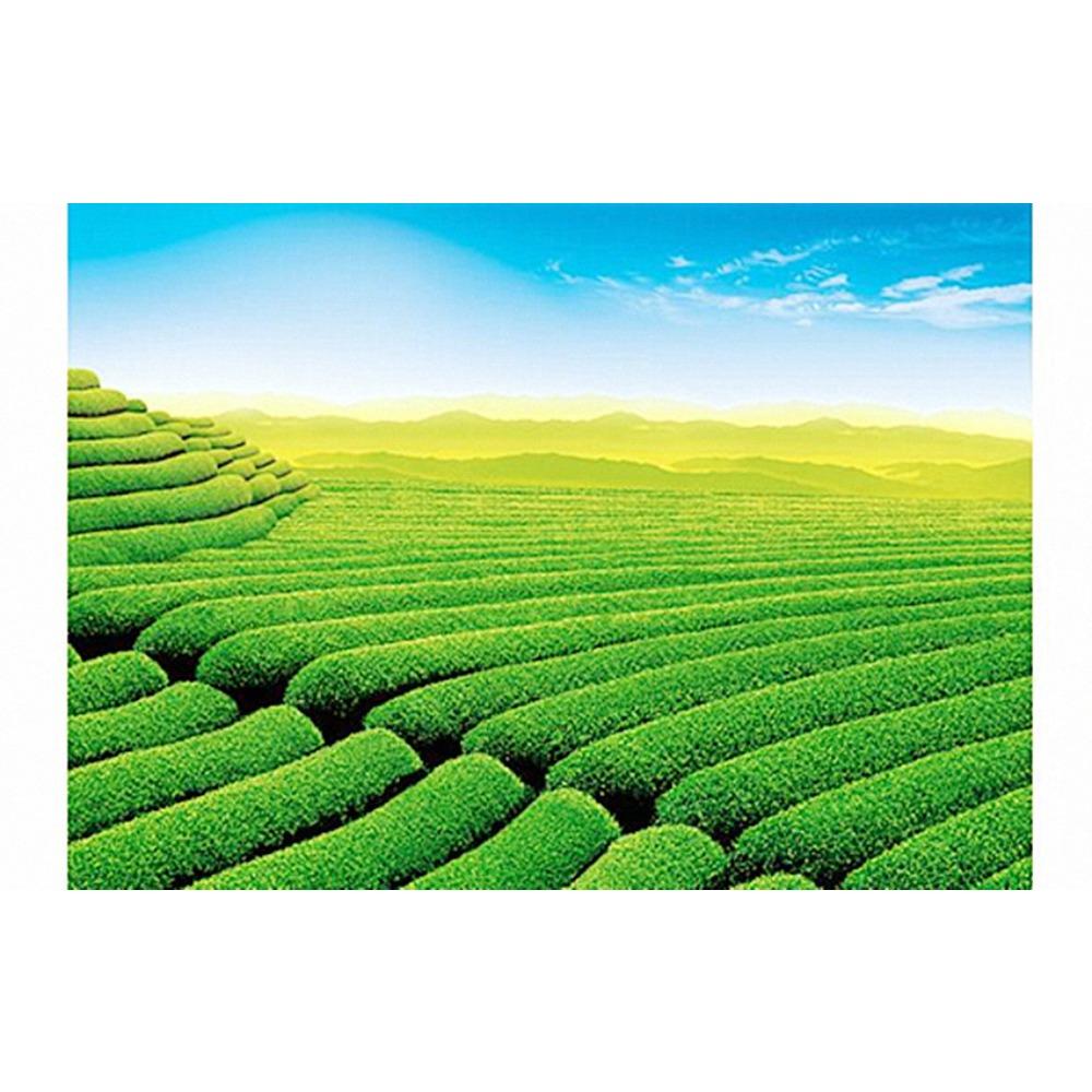 TAETEA Menghai Dayi Ripe Pu erh Tea Cake 357g Authentic