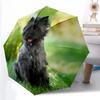 Tragbarer Faltregenschirm mit Cairn Terrier Design, Gebaut mit einem stabilen Eisengestell und 8-Rippen-Struktur, Perfekt für Zuhause, Reisen und Ou