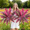 Vibrant Artificial Ferns Large Realistic Fern Dragon's Blood Tree Plants with Pink/Purple Leaves Outdoor Fake UV Resistant for Garden Patio