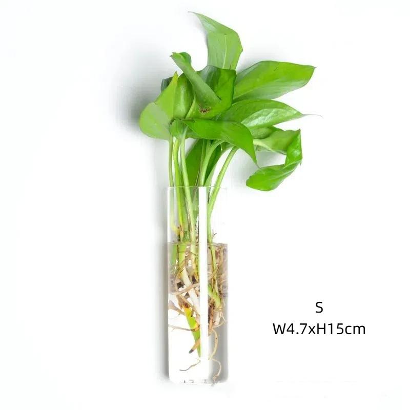 

Настенная стеклянная ваза-террариум – декоративное кашпо или аквариум для дома и сада 1