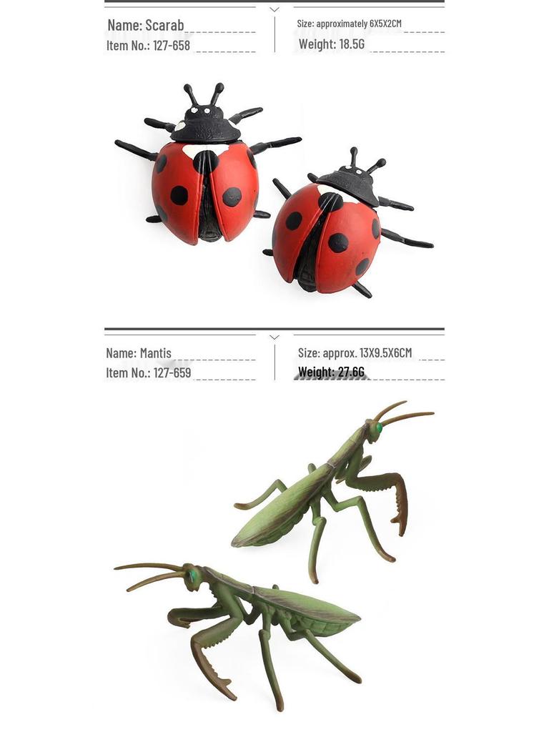Cross-Border Children's Cognitive Insect Model Toy Set