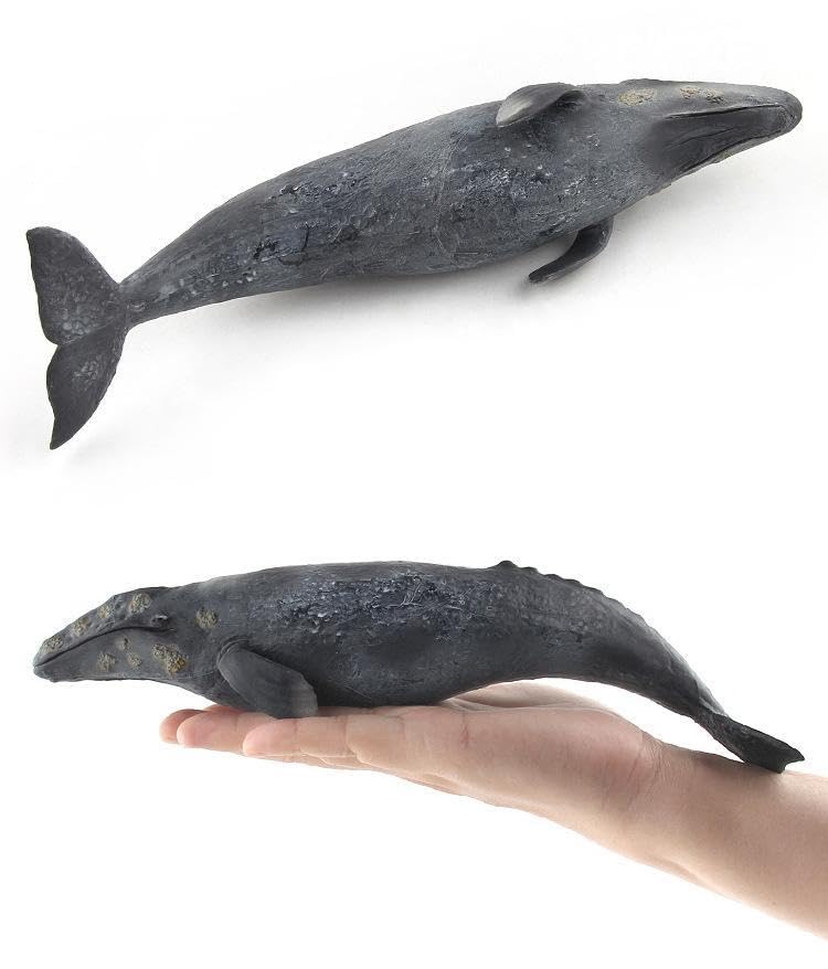 [Nekogamiyama] Gray Whale, Marine Life Figure, Model, Miniature, Ornament, Interior Decor, Collector's Model