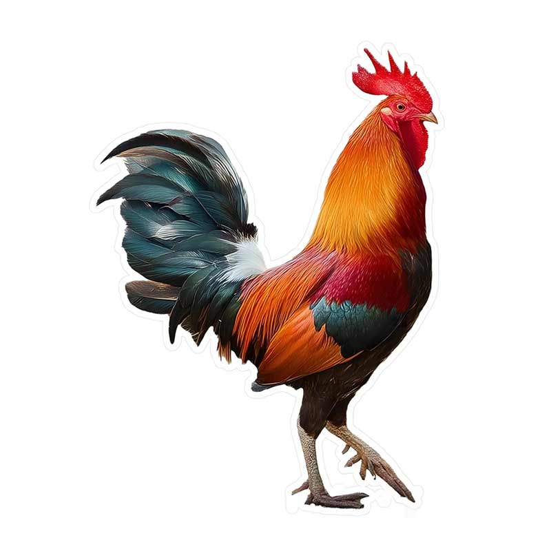 

Rooster Vinyl Decal Farmhouse Decor Car Sticker Waterproof Outdoor Car Bumper Window Notebook Computer Decoration Decals SH1219 A-15cm Longest Side