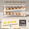 Automatic Rolling Egg Dispenser for Refrigerator