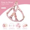 Nylon Dog Collar Harness Leash Set Adjustable Puppy Dogs Harnesses Vest Cute Bowknot Pet Collars With Lead for Small Medium Dogs