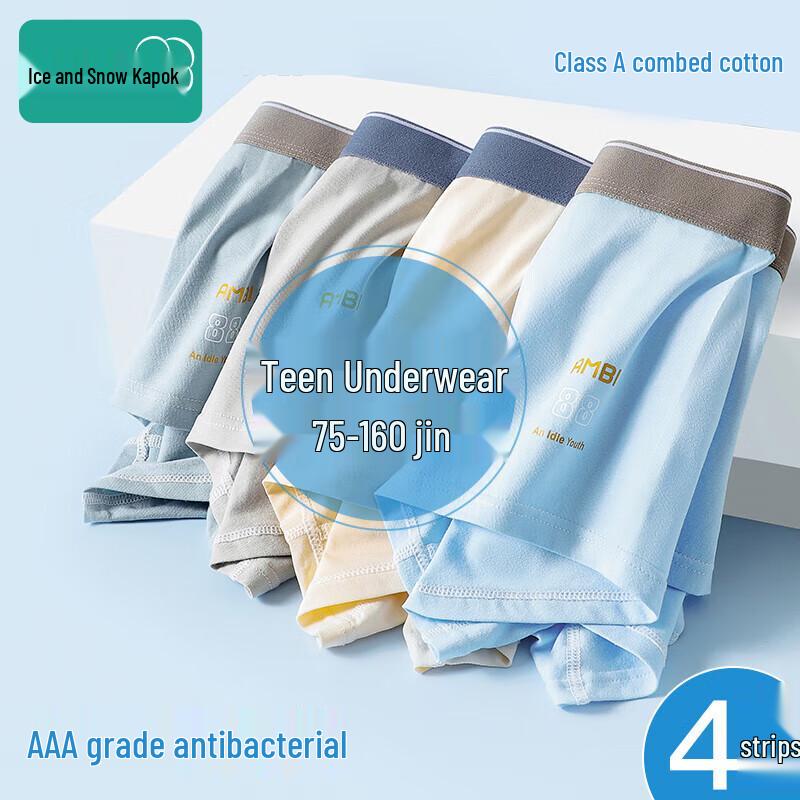 Bingxue Mian Teen Boys Cotton Antibacterial Boxer Briefs L