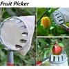 Multi Purpose Telescopic Galvanized Iron Fruit Picker for Garden Picking, High-altitude Fruit Picker