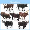 Modelo Realista de PVC de Touro e Vaca Ankole Watusi com Detalhes para Colecionadores