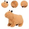 Capybara Plushie Toy - Perfect Cuddle Companion for Kids