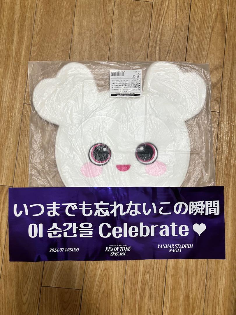 

[Б/У] Фан-кейс Twice