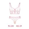 Lace Mesh Sheer Bra For Women With Seductive Design Bras & Bra Sets