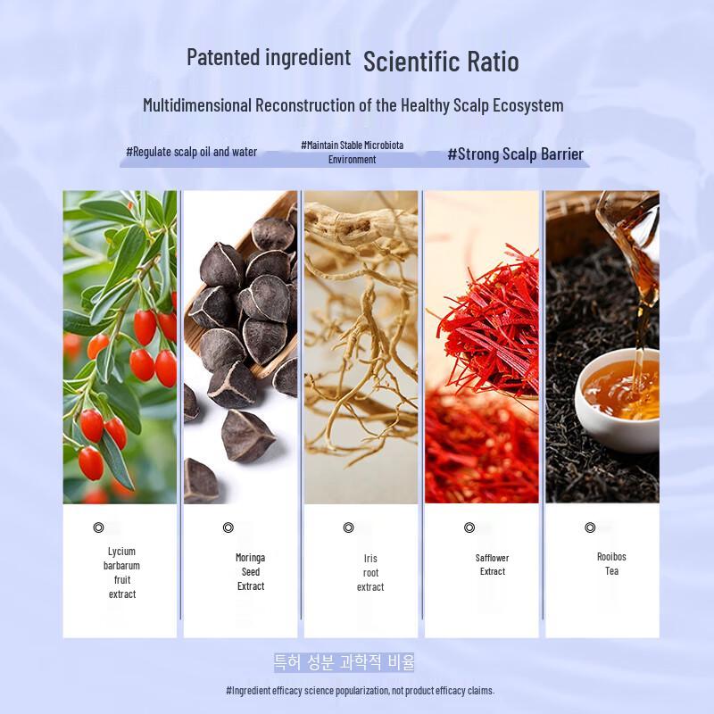 Tangyin Oil Control & Volumizing Scalp Care Shampoo