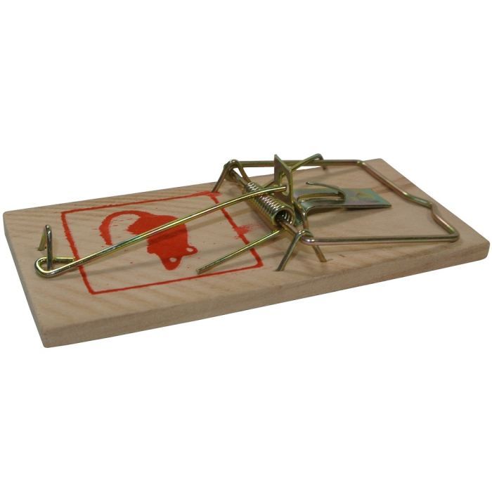 Lot 4 Pièges à Souris Attrapes Rongeur Tapettes…