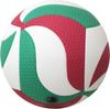 Volleyball Certification Ball Molten Fristatec 4 V4M5000 No.