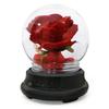 Mother Day Gift Dried Flowers Eternal Real Rose Home Decor with LED In Glass Dome Valentine's Day Gift Rose Round Lamp Ornaments